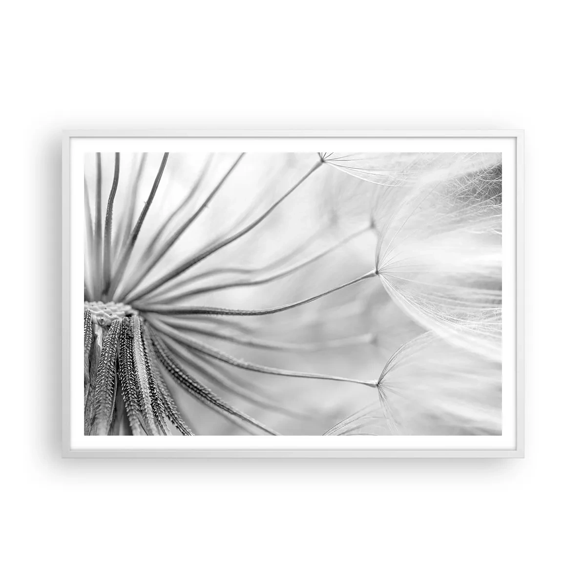 Pôster em moldura branca - Dentes de leão, pipas - 100x70 cm