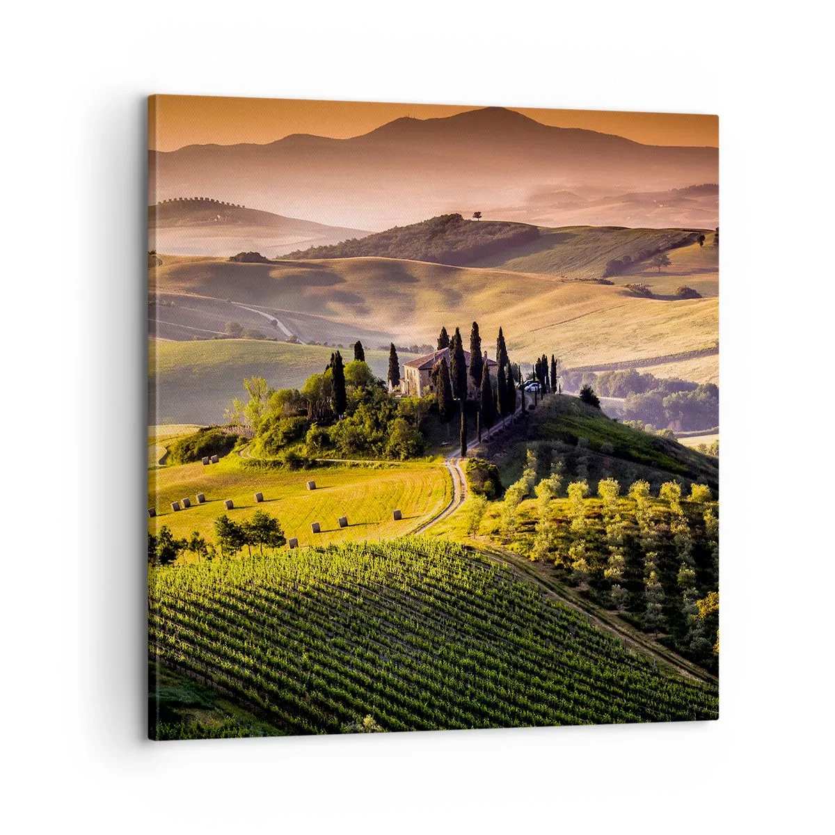 Quadro em tela - Arcádia - Paisagem toscana - 60x60 cm