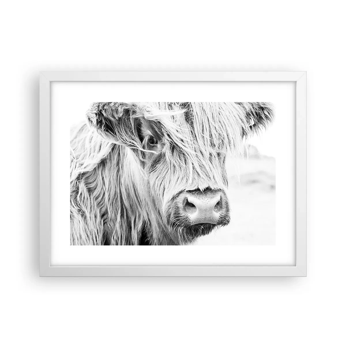Pôster em moldura branca - Natureza selvagem escocesa - 40x30 cm
