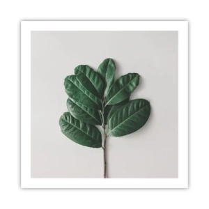 Pôster - Desenho da própria natureza - 60x60 cm