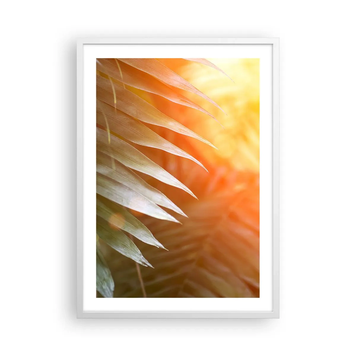 Pôster em moldura branca - Manhã na selva - 50x70 cm