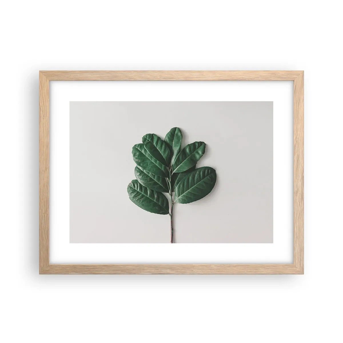 Pôster com moldura de carvalho claro - Desenho da própria natureza - 40x30 cm