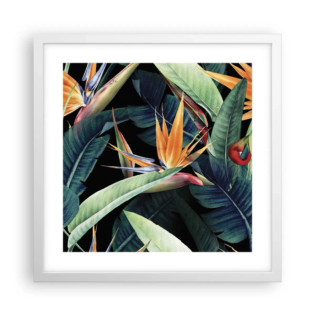 Pôster em moldura branca - Flores ardentes dos trópicos - 40x40 cm
