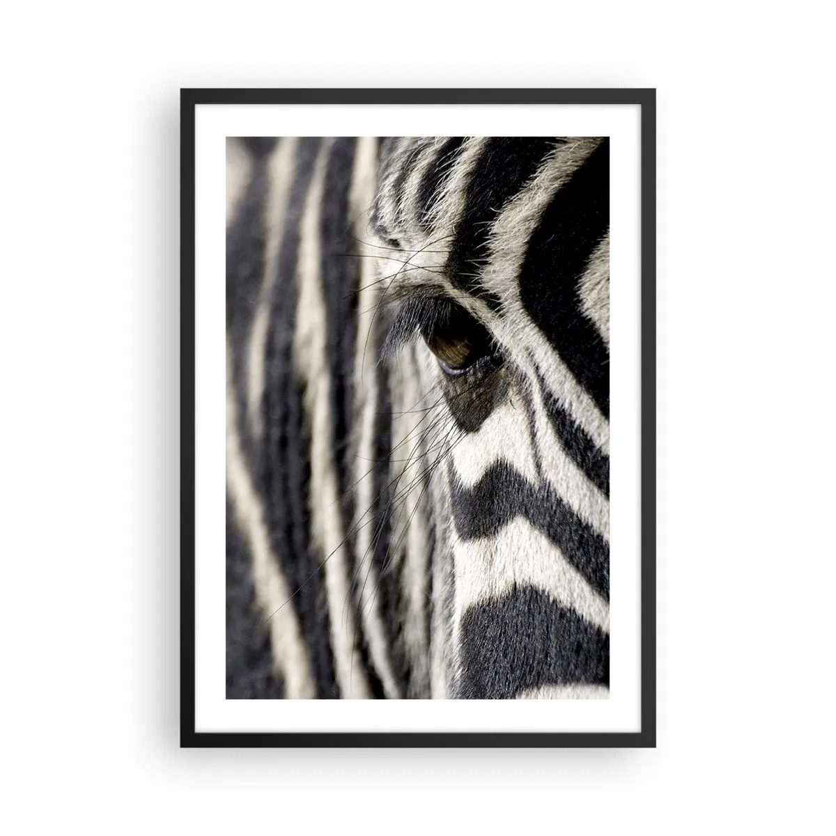 Pôster com moldura preta - Um close do olho de uma zebra com seu padrão característico. - 50x70cm - Retrato em listras - Decoração de parede moderna para a sala de estar e quarto ARTTOR