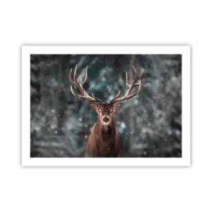 Pôster - O rei coroado da floresta  - 70x50 cm