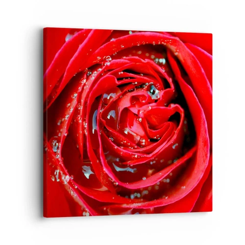 Quadro em tela - Em gotas de orvalho - 30x30 cm