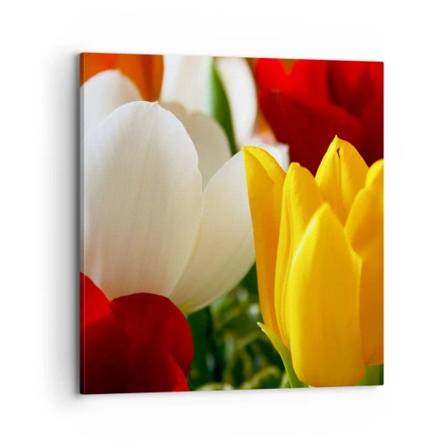 Quadro em tela - Febre das tulipas - 70x70 cm
