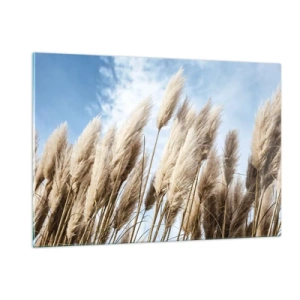 Quadro em vidro - Carícia ensolarada e ventosa - 120x80 cm