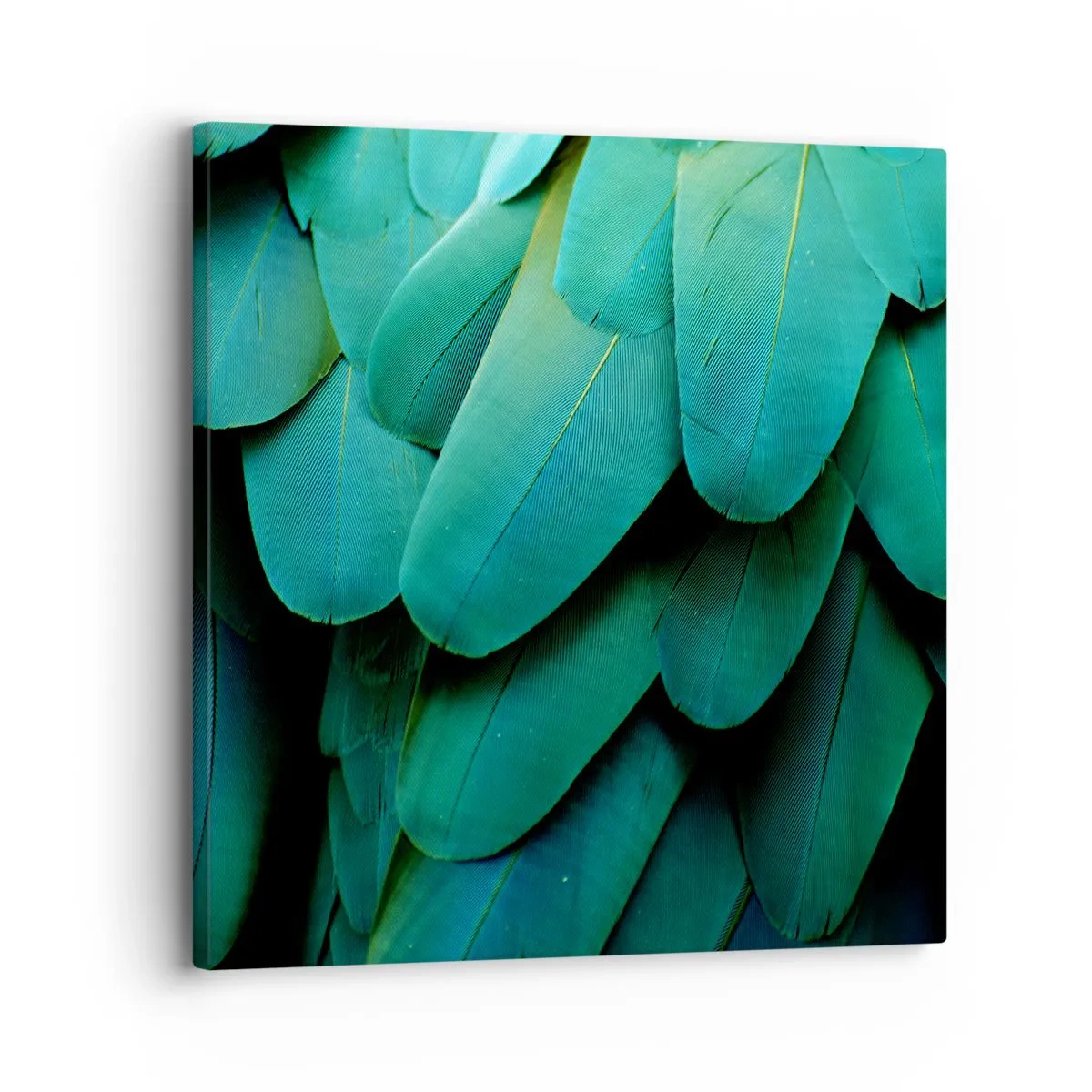 Quadro em tela - Precisão de papagaio - 30x30 cm