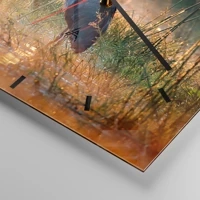 Mostrador com traços