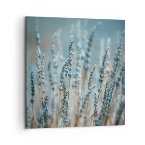 Quadro em tela - Prado perfumado - 50x50 cm