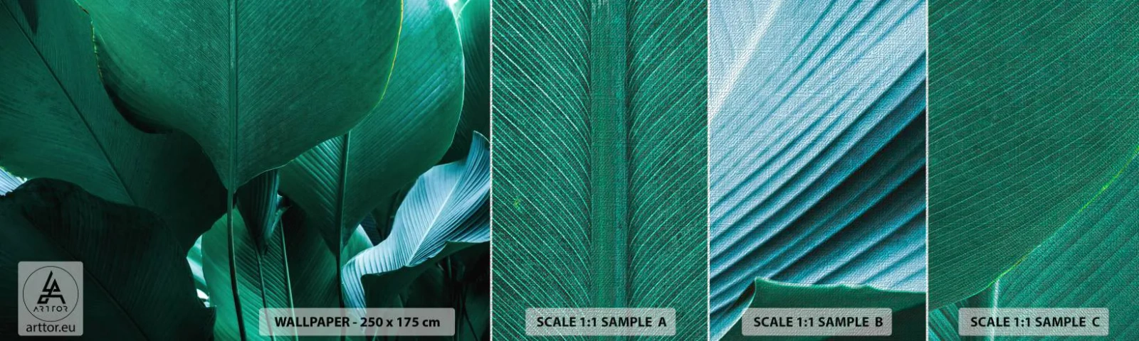 Amostra de papel de parede Premium Canvas - De frente para a luz - Folha de banana, Bananeira, Plantar - 100x30 cm