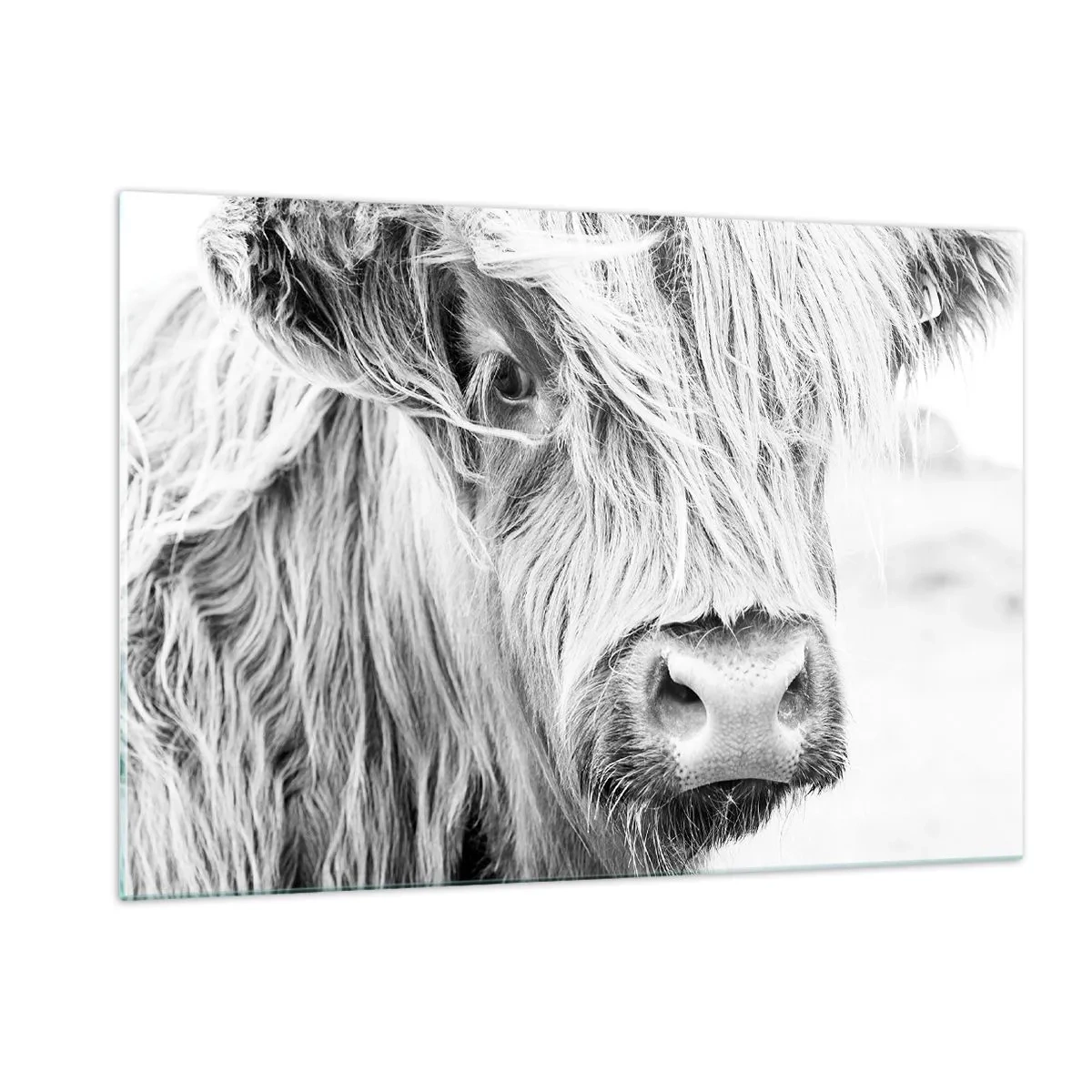 Quadro em vidro - Natureza selvagem escocesa - 120x80 cm