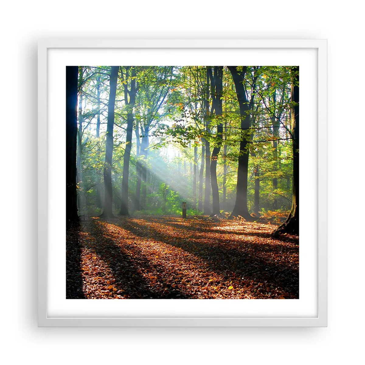 Pôster em moldura branca - Luzes e sombras - 50x50 cm