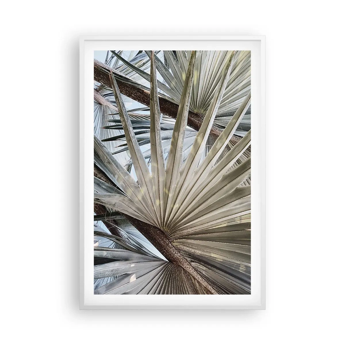 Pôster em moldura branca - Leques nos trópicos - 61x91 cm