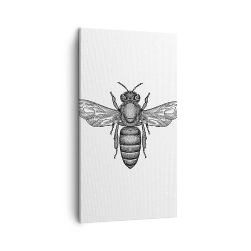 Quadro em tela - Retrato de um inseto - 45x80 cm