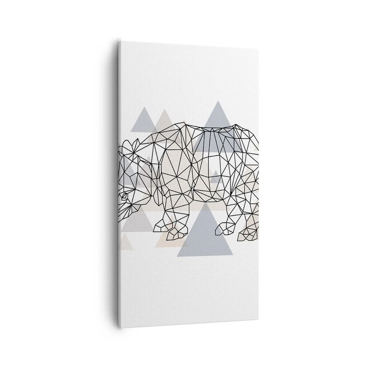 Quadro em tela - Estrutura da força - 55x100 cm