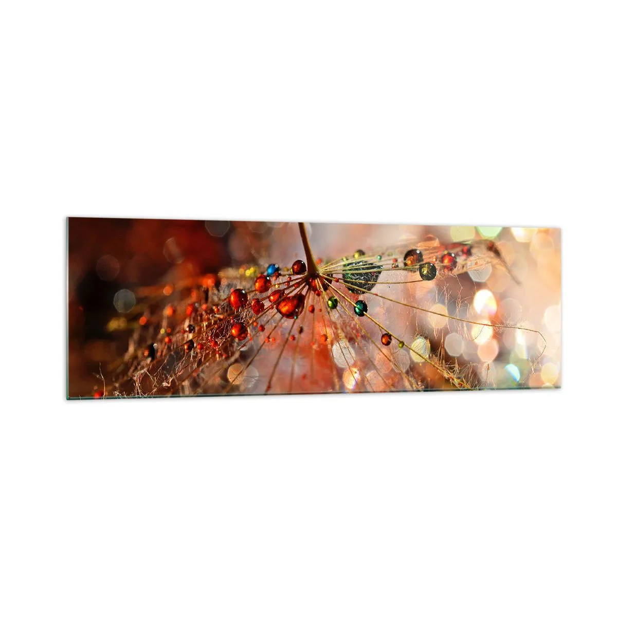 Quadro em vidro - Enroscado numa teia de aranha - 160x50 cm