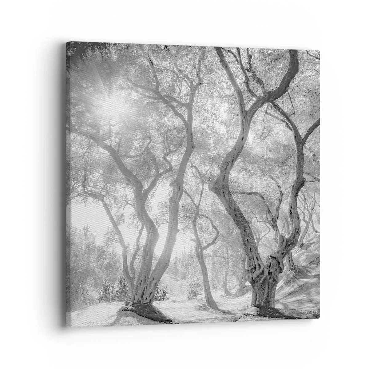 Quadro em tela - No olival - 40x40 cm