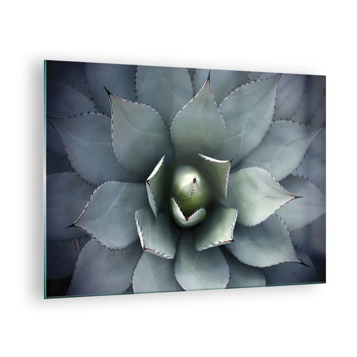 Quadro em vidro - Um close-up das folhas simétricas de agave, de cor aço. - 70x50cm - Atrai e adverte - Decoração de parede moderna para a sala de estar e quarto ARTTOR