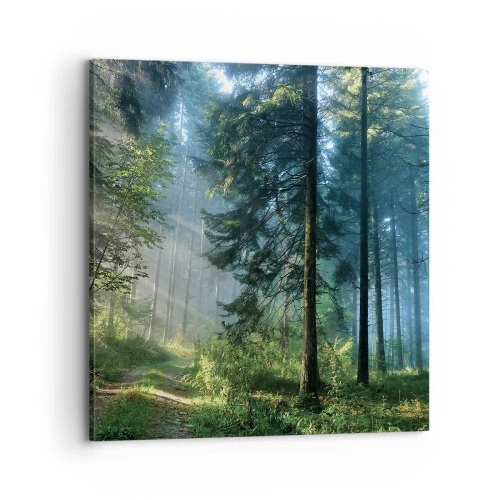 Quadro em tela - Radiante de manhã - 70x70 cm