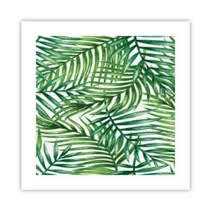 Pôster - Sob as folhas verdes - 40x40 cm