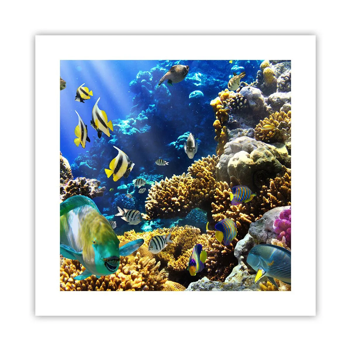 Pôster - Tráfego intenso no percurso de férias - 40x40 cm