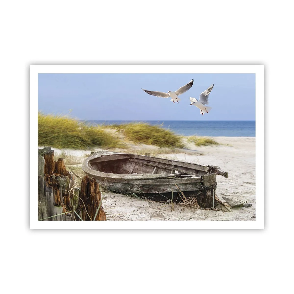 Pôster - Banhado pelo vento - 100x70 cm