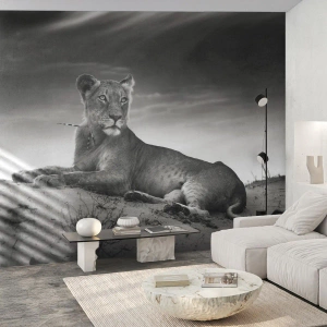 Papel de parede personalizado Premium Sand - Descanso da Rainha do Deserto - Animais, Leão, Deserto