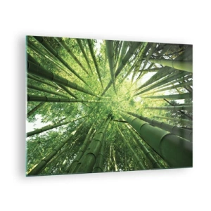 Quadro em vidro - Vista em perspectiva ascendente da floresta de bambu - 70x50cm - Em um bosque de bambu - Decoração de parede moderna para a sala de estar e quarto ARTTOR