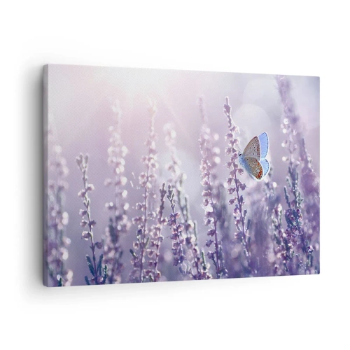 Quadro em tela - Uma borboleta em uma lavanda florescendo na luz da manhã - 70x50cm - O beijo da borboleta - Decoração de parede moderna para a sala de estar e quarto ARTTOR