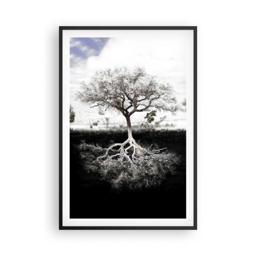 Pôster com moldura preta - Descobrir a natureza do mundo - 61x91 cm