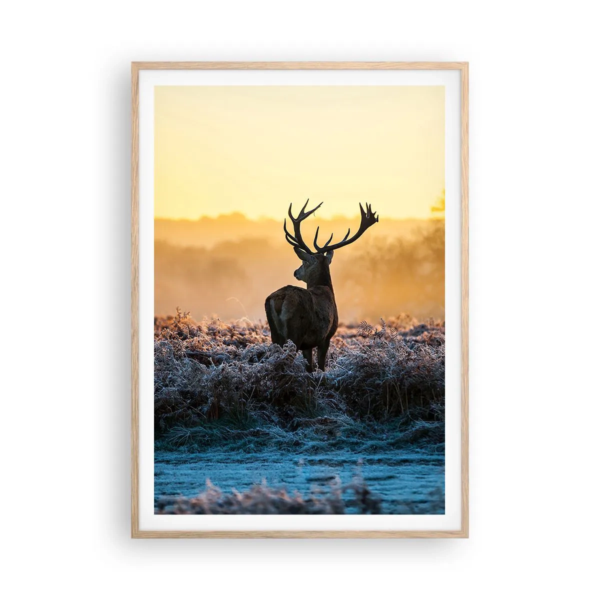 Pôster com moldura de carvalho claro - Coroado em sua terra - 70x100 cm