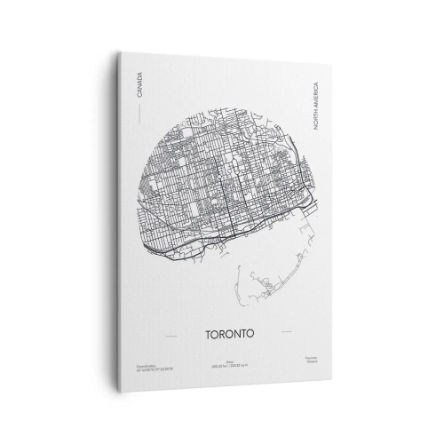 Quadro em tela - Anatomia de Toronto - 50x70 cm