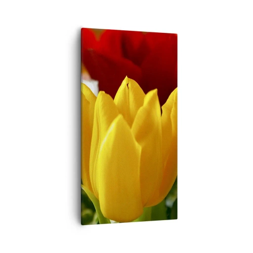Quadro em tela - Febre das tulipas - 55x100 cm