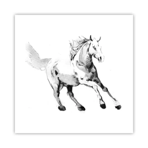 Pôster - Alma Indomável - 40x40 cm