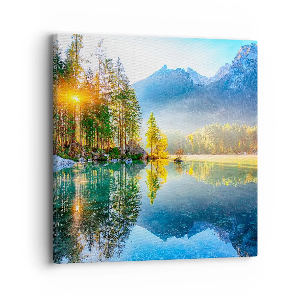 Quadro em tela - Majestade e doçura - 40x40 cm