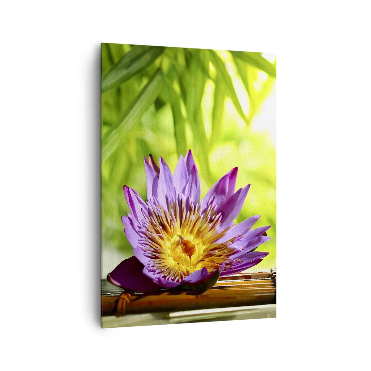 Quadro em tela - Sob o sol asiático - 70x100 cm