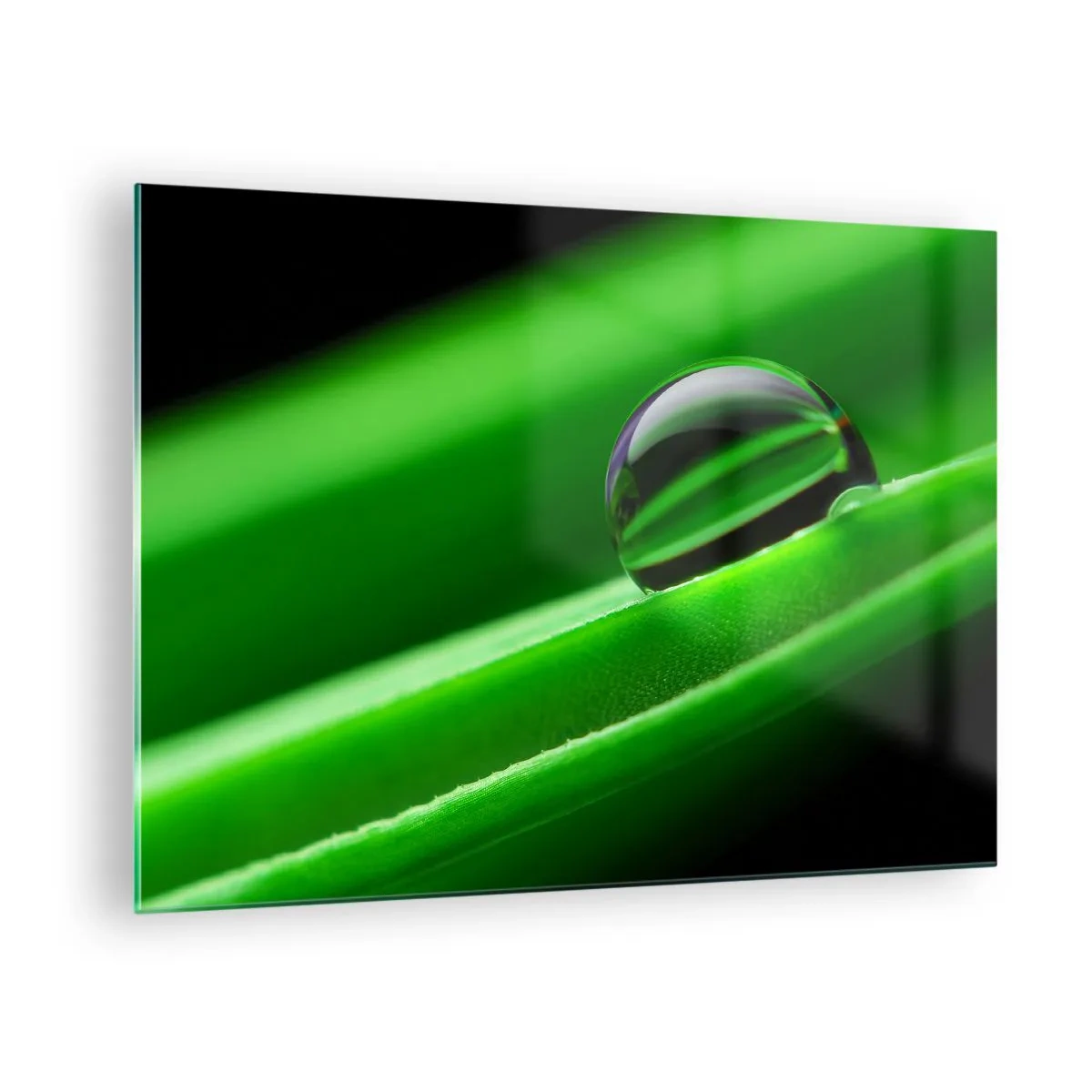 Quadro em vidro - Uma gota de orvalho em uma folha verde - 70x50cm - A vida de perto - Decoração de parede moderna para a sala de estar e quarto ARTTOR