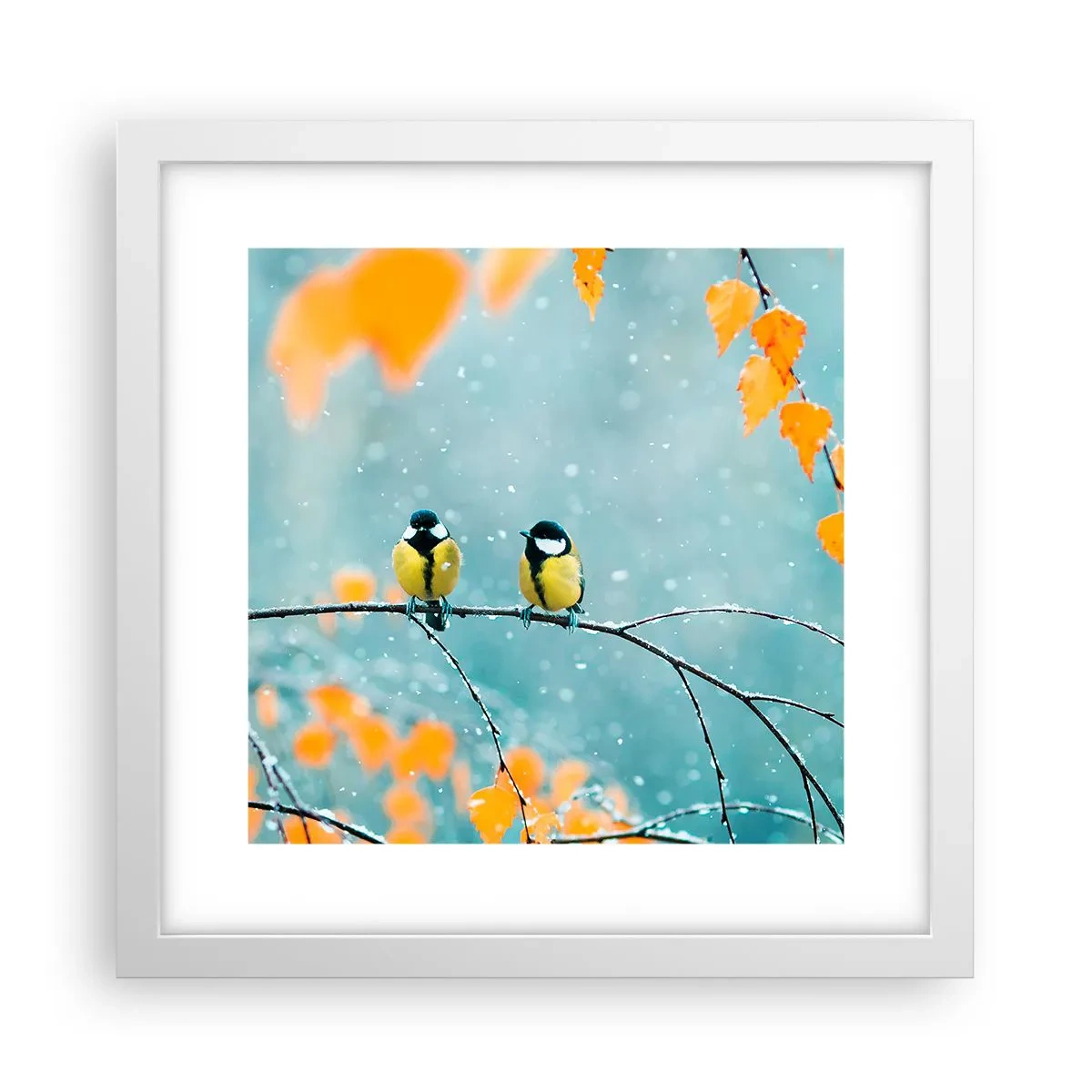 Pôster em moldura branca - Fofoca de pássaros - 30x30 cm