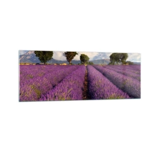 Quadro em vidro - Prados de lavanda - 140x50 cm
