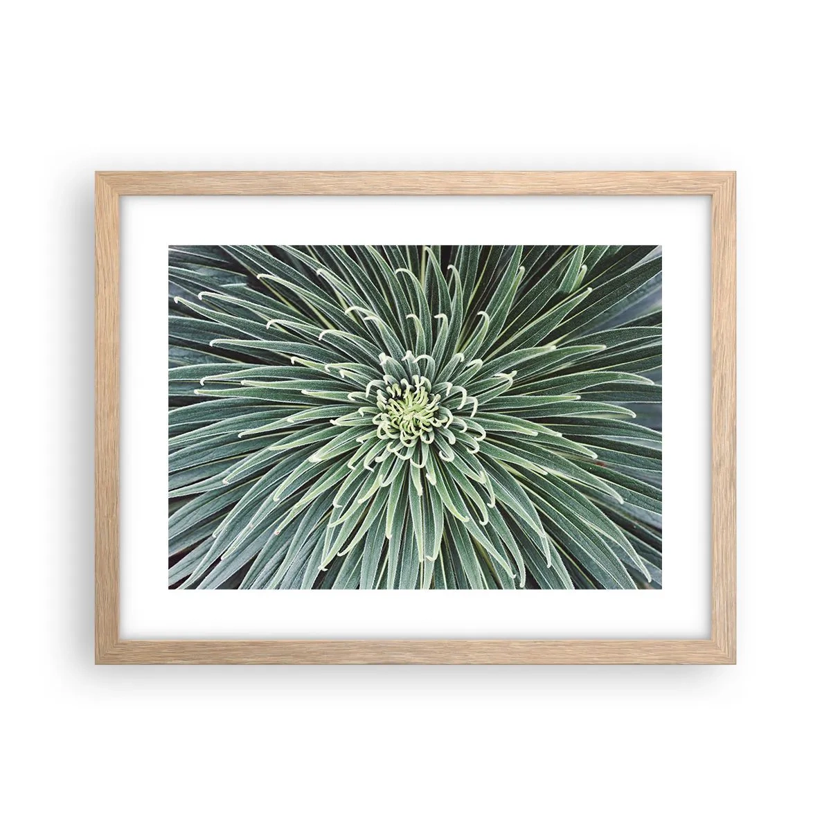 Pôster com moldura de carvalho claro - Nasce uma estrela - 40x30 cm