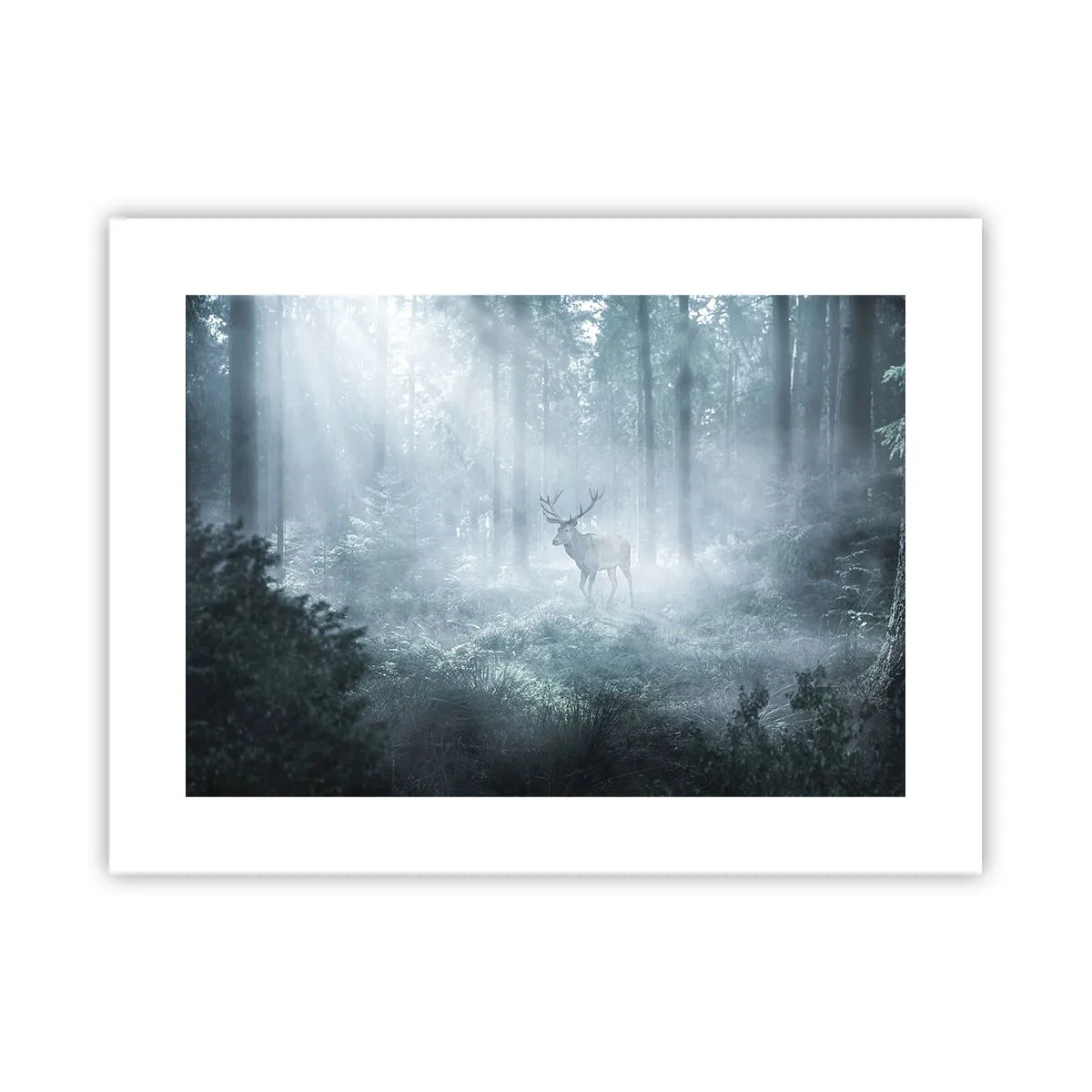 Pôster - Passeio matinal à volta da propriedade - 40x30 cm