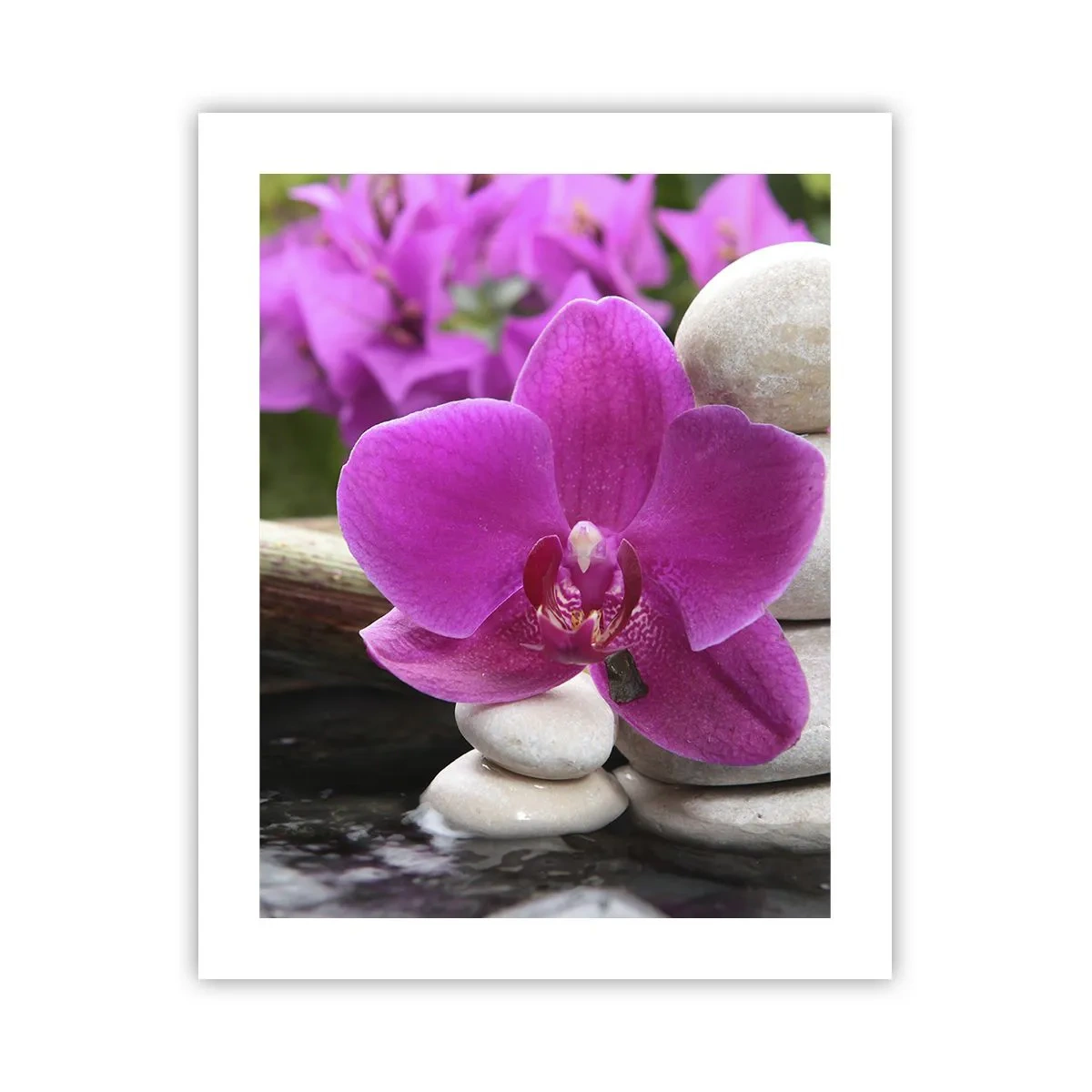 Pôster - Descanso imediato - 40x50 cm