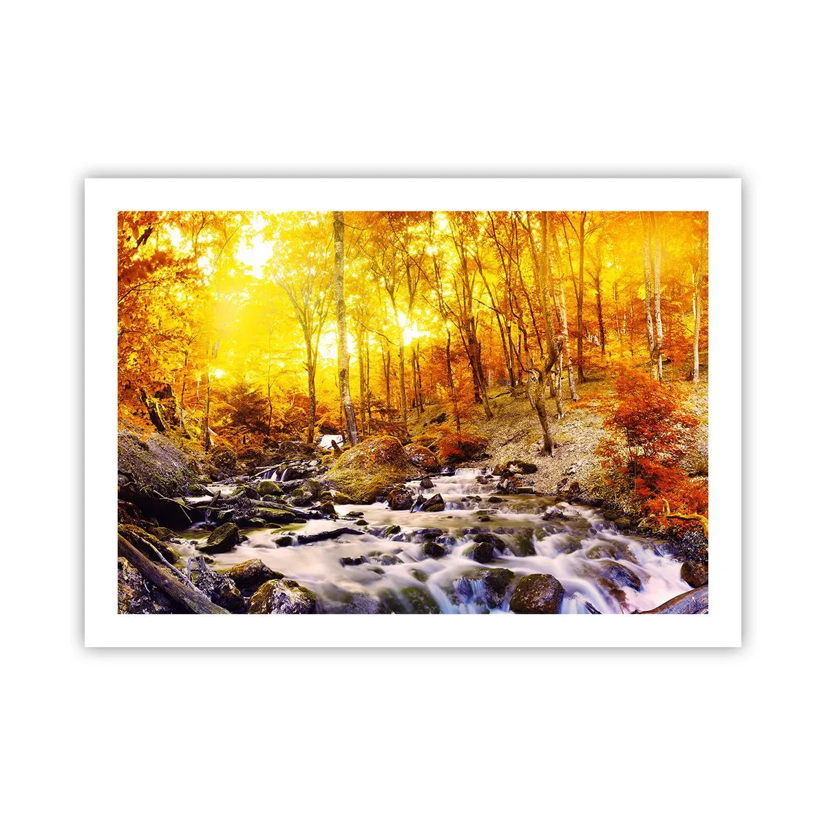 Pôster - Pedras emolduradas em ouro e platina - 70x50 cm