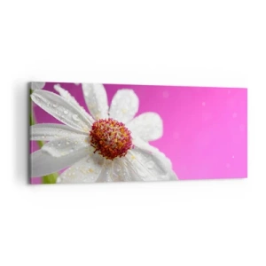 Quadro em tela - Modesto em sua beleza - 100x40 cm