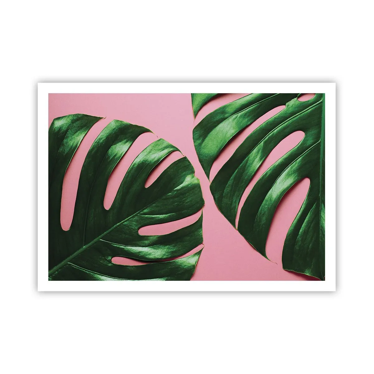 Pôster - Encontro verde - 100x70 cm