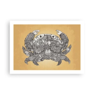 Pôster - Contos do Sr. Caranguejo - 70x50 cm