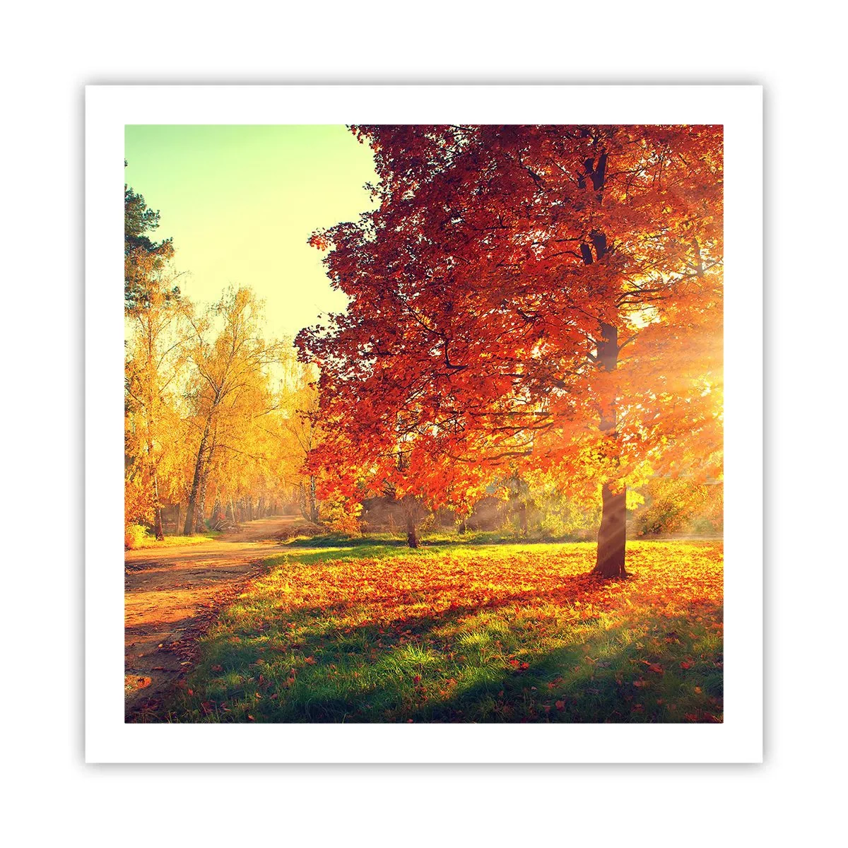 Pôster - O vermelho é lindo - 60x60 cm