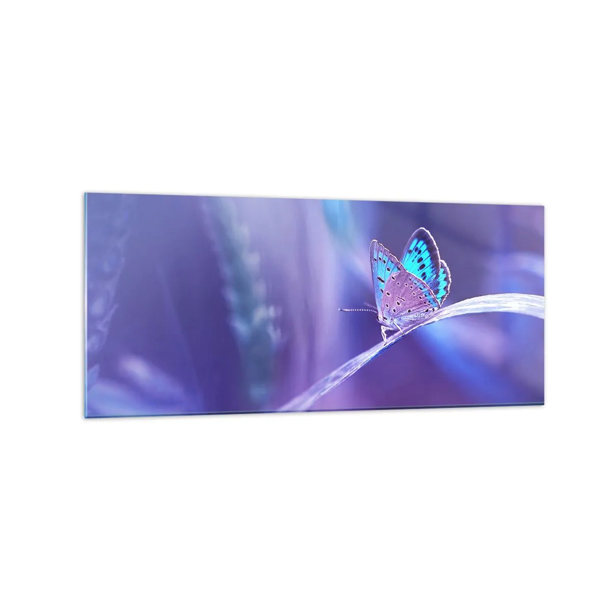 Quadro em vidro - Uma joia da natureza - 120x50 cm